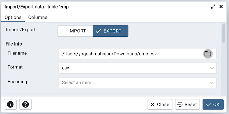 Import Export data dialog options tab