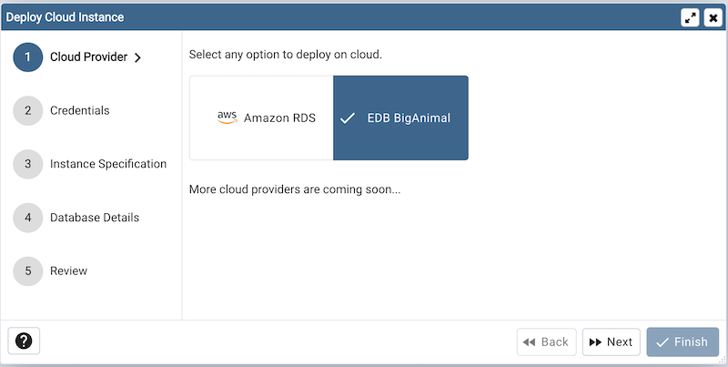 Cloud Deployment Provider
